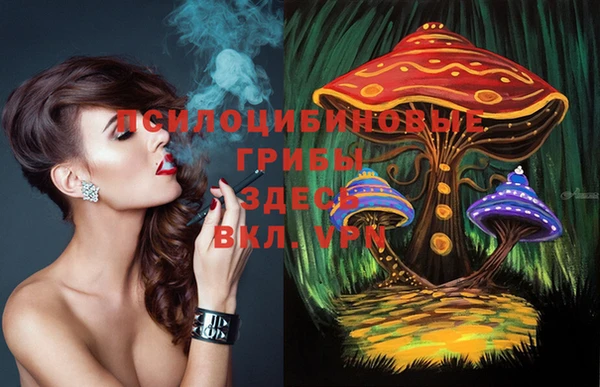 PSILOCYBIN Богданович