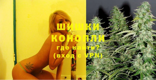 PSILOCYBIN Богданович