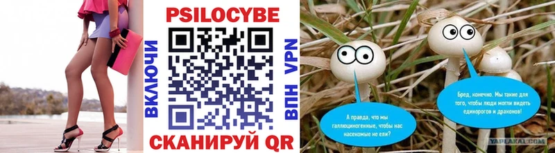 Галлюциногенные грибы ЛСД  mega ССЫЛКА  Новосокольники 